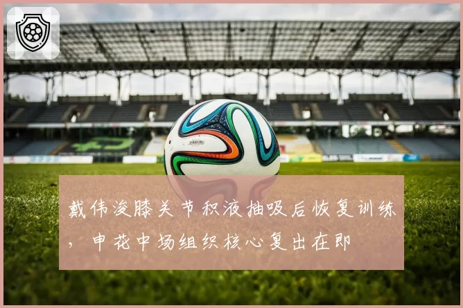 戴伟浚膝关节积液抽吸后恢复训练，申花中场组织核心复出在即