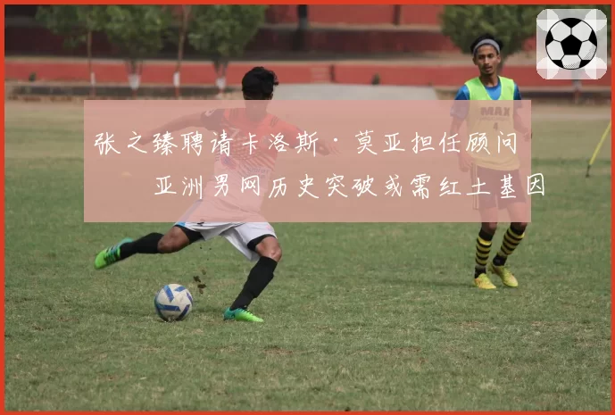 张之臻聘请卡洛斯·莫亚担任顾问，亚洲男网历史突破或需红土基因注入