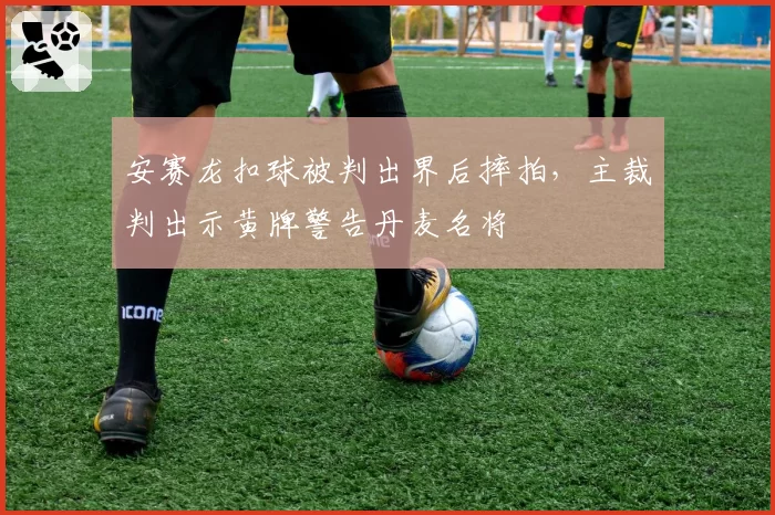 安赛龙扣球被判出界后摔拍，主裁判出示黄牌警告丹麦名将