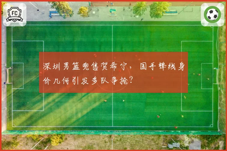 深圳男篮兜售贺希宁，国手锋线身价几何引发多队争抢？