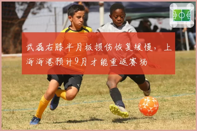 武磊右膝半月板损伤恢复缓慢，上海海港预计9月才能重返赛场