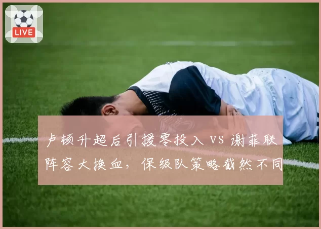 卢顿升超后引援零投入 vs 谢菲联阵容大换血,保级队策略截然不同